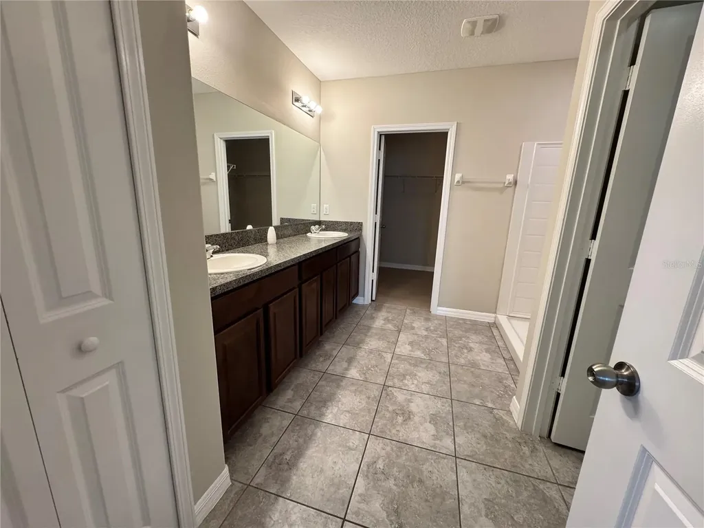 10013 Crested Fringe Drive Riverview FL 33578