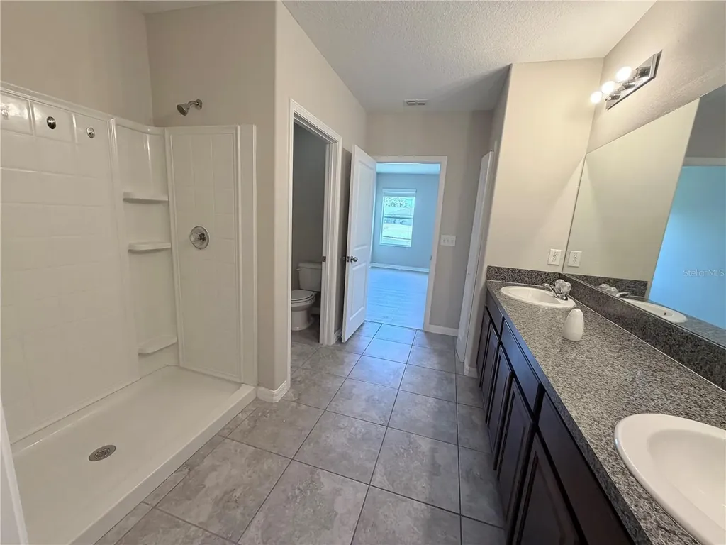 10013 Crested Fringe Drive Riverview FL 33578