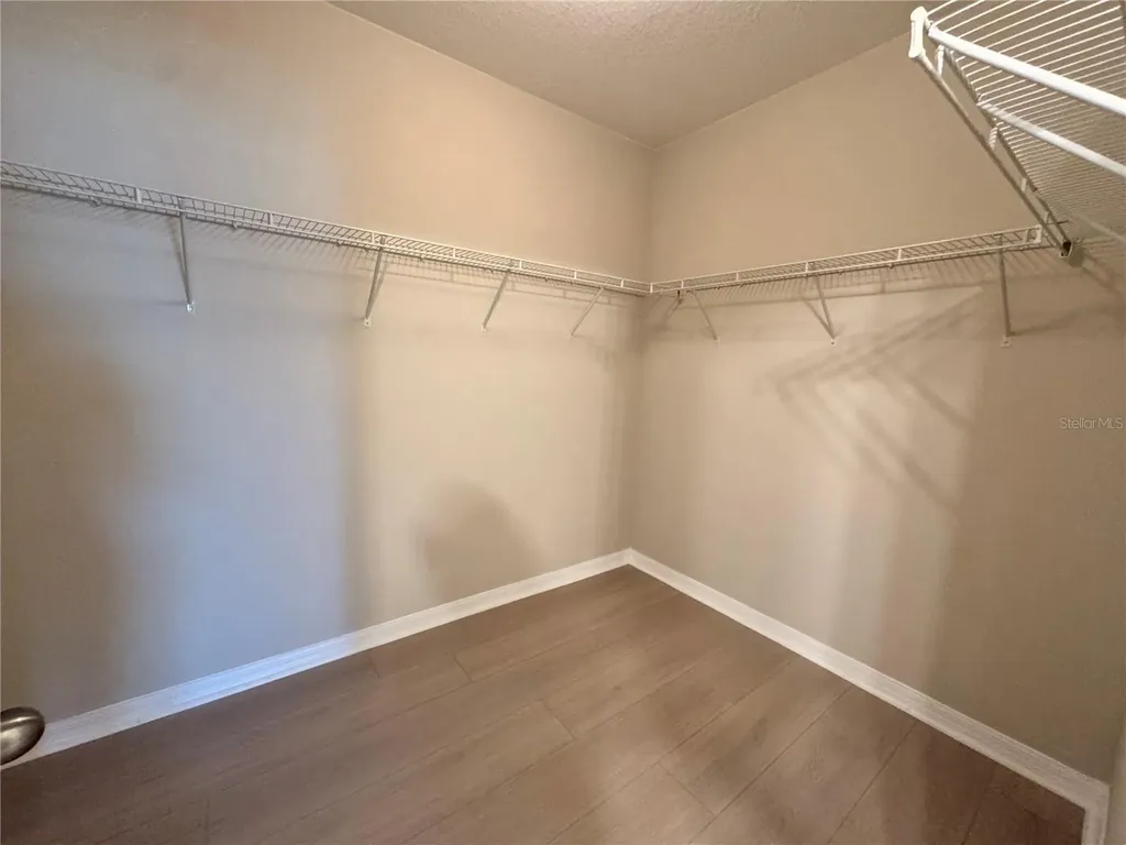 10013 Crested Fringe Drive Riverview FL 33578