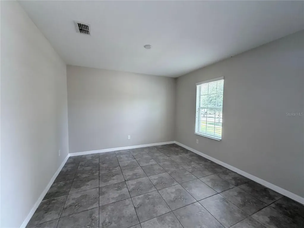 10013 Crested Fringe Drive Riverview FL 33578