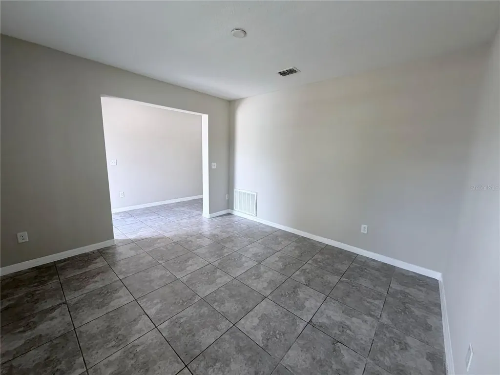 10013 Crested Fringe Drive Riverview FL 33578