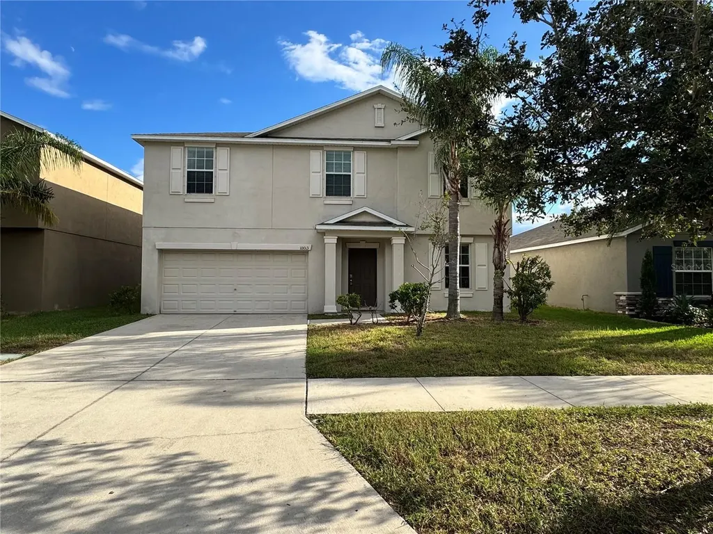 10013 Crested Fringe Drive Riverview FL 33578