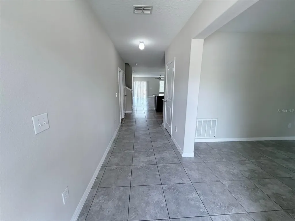10013 Crested Fringe Drive Riverview FL 33578