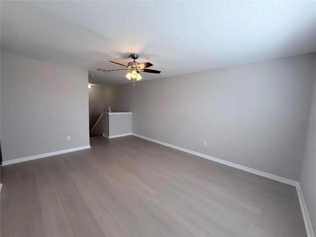10013 Crested Fringe Drive Riverview FL 33578