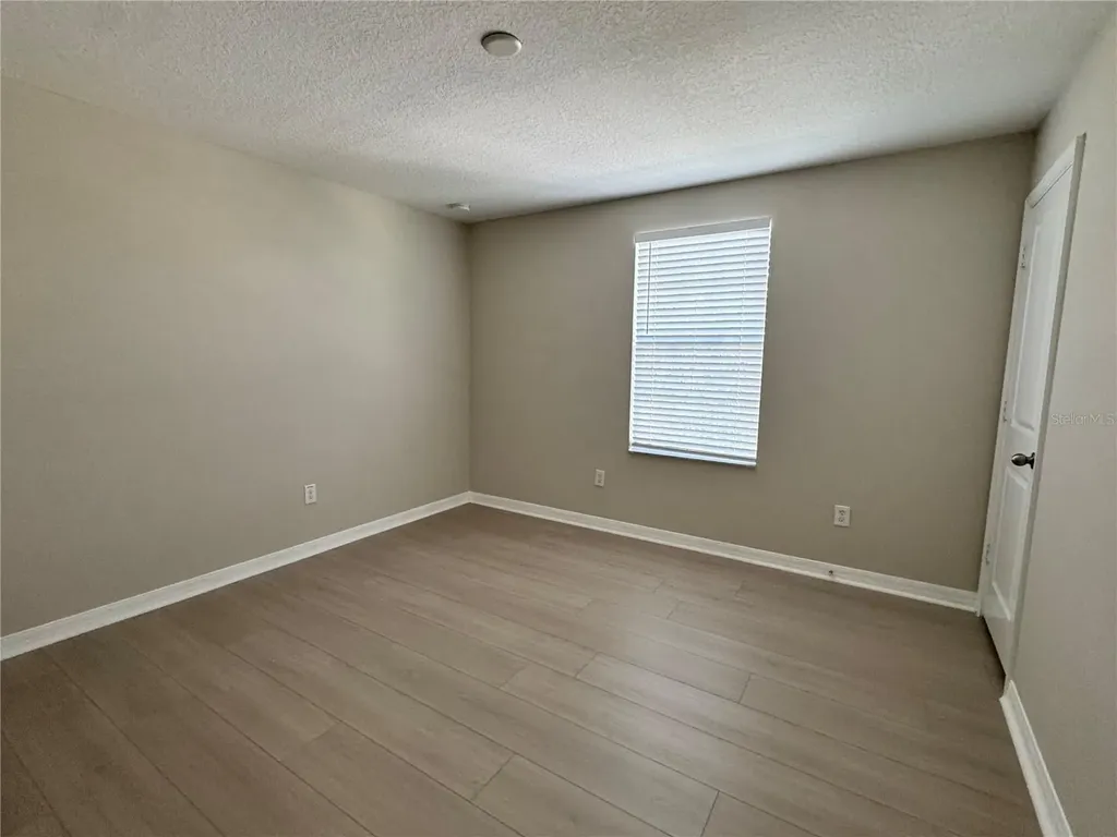 10013 Crested Fringe Drive Riverview FL 33578