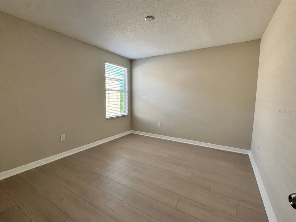 10013 Crested Fringe Drive Riverview FL 33578