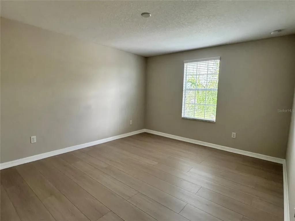 10013 Crested Fringe Drive Riverview FL 33578