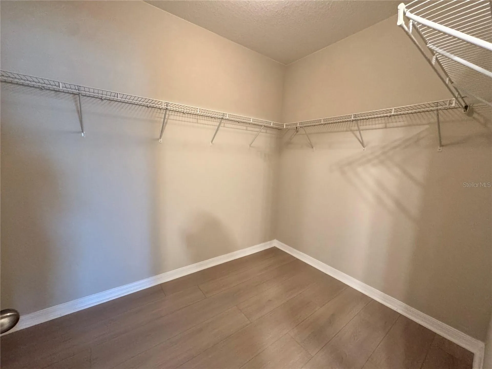 10013 Crested Fringe Drive Riverview FL 33578