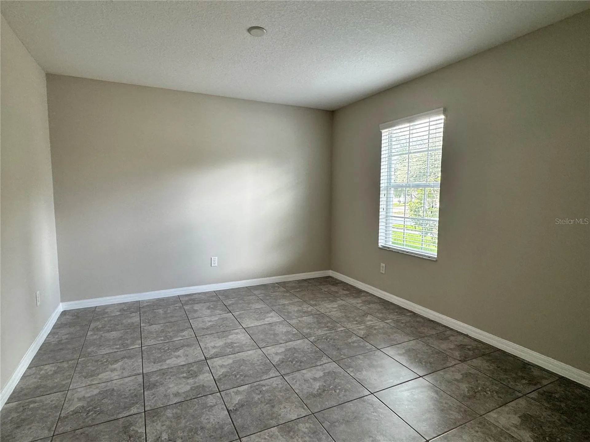 10013 Crested Fringe Drive Riverview FL 33578