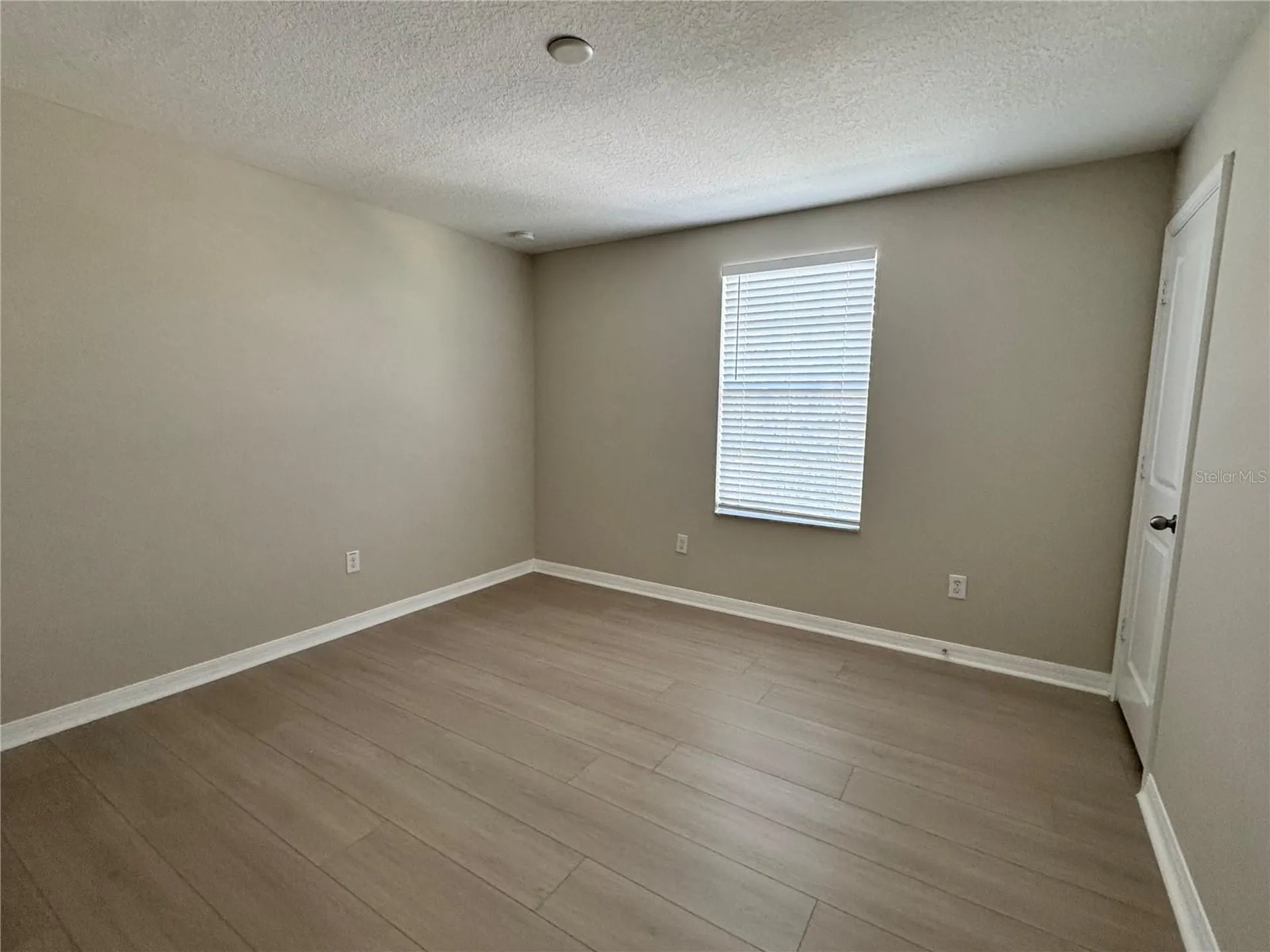 10013 Crested Fringe Drive Riverview FL 33578