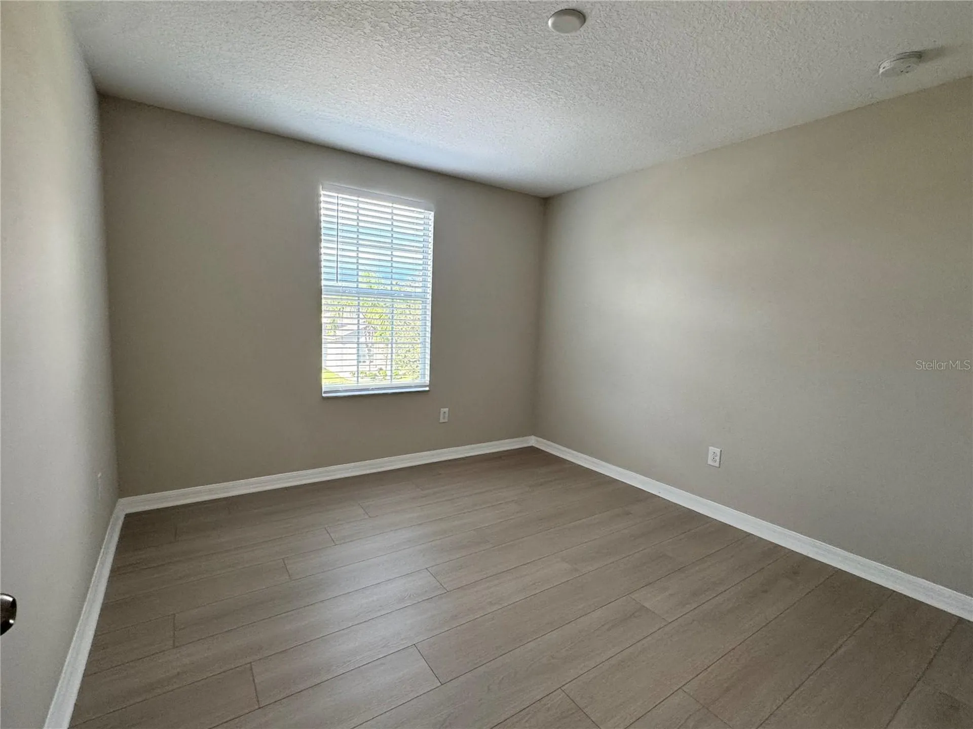 10013 Crested Fringe Drive Riverview FL 33578