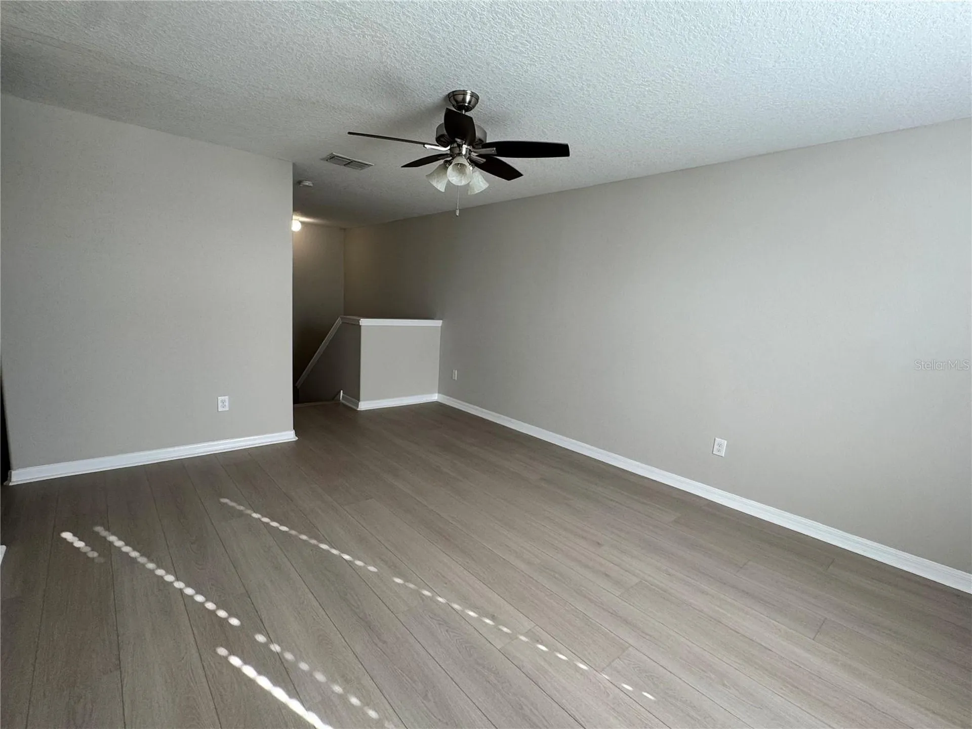 10013 Crested Fringe Drive Riverview FL 33578