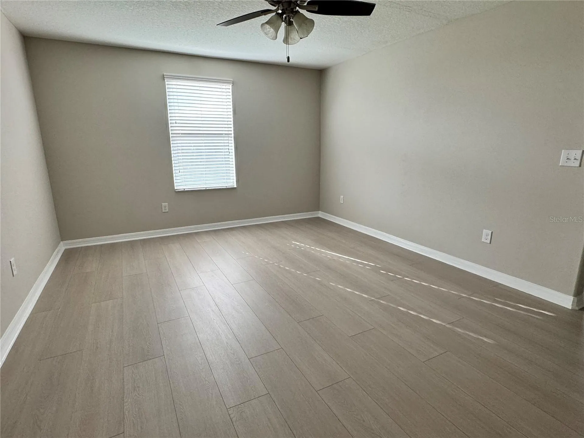 10013 Crested Fringe Drive Riverview FL 33578