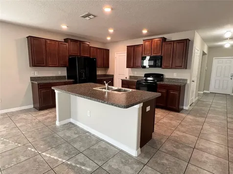 10013 Crested Fringe Drive Riverview FL 33578