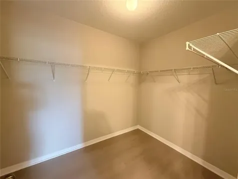 10013 Crested Fringe Drive Riverview FL 33578