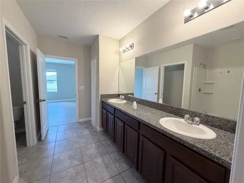 10013 Crested Fringe Drive Riverview FL 33578