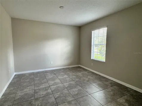 10013 Crested Fringe Drive Riverview FL 33578