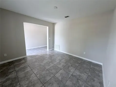 10013 Crested Fringe Drive Riverview FL 33578