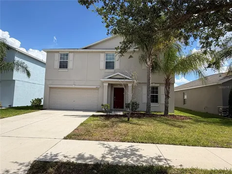10013 Crested Fringe Drive Riverview FL 33578