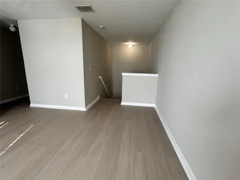 10013 Crested Fringe Drive Riverview FL 33578