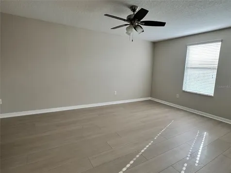 10013 Crested Fringe Drive Riverview FL 33578