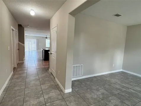 10013 Crested Fringe Drive Riverview FL 33578