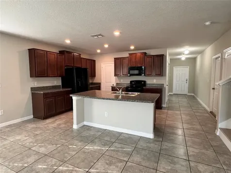 10013 Crested Fringe Drive Riverview FL 33578