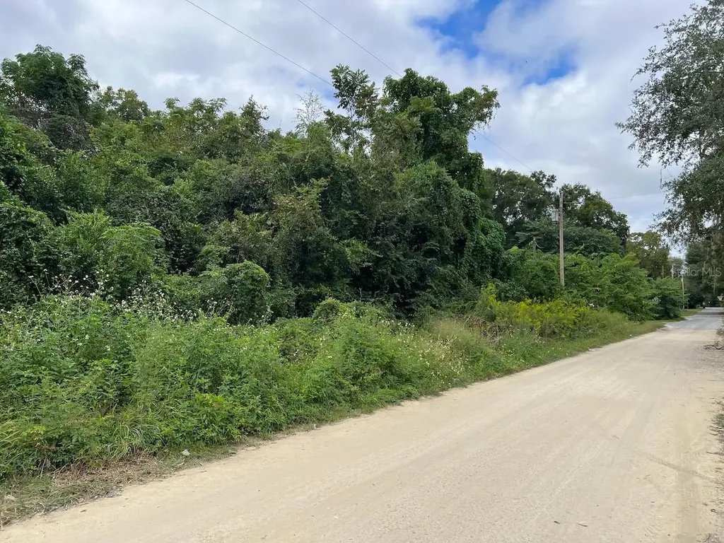000 NE 40th Place Williston FL 32696