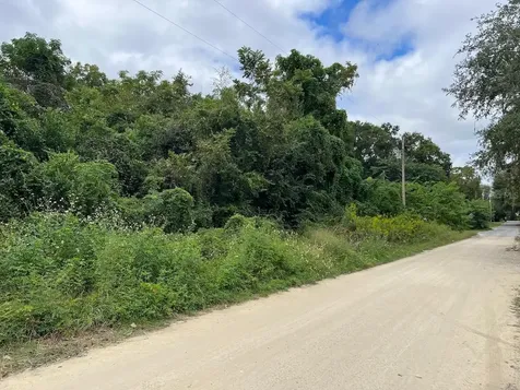 000 NE 40th Place Williston FL 32696
