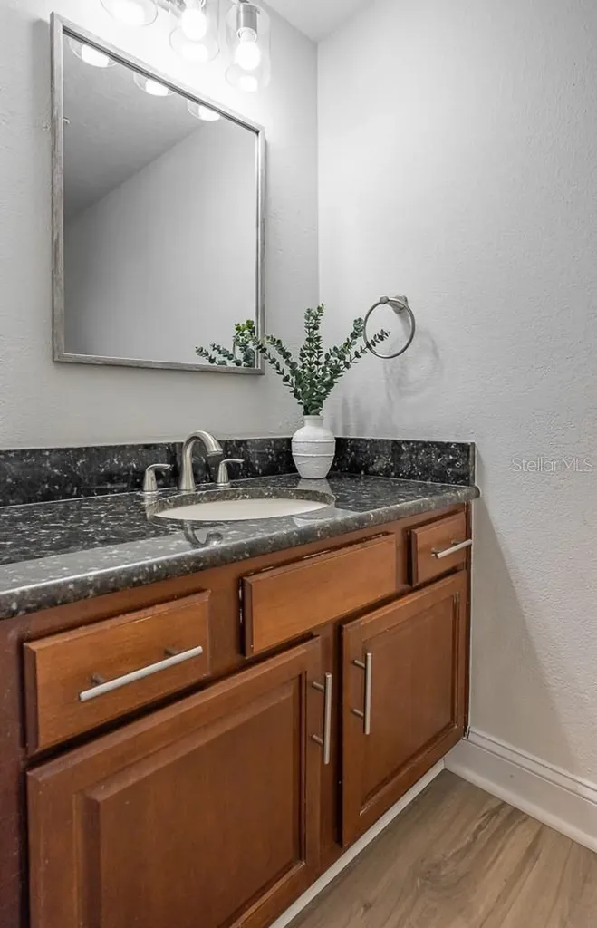 1623 Shady Leaf Drive Valrico FL 33596