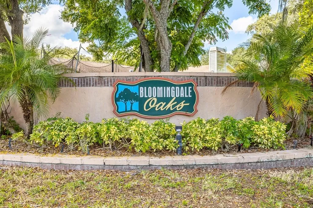 1623 Shady Leaf Drive Valrico FL 33596
