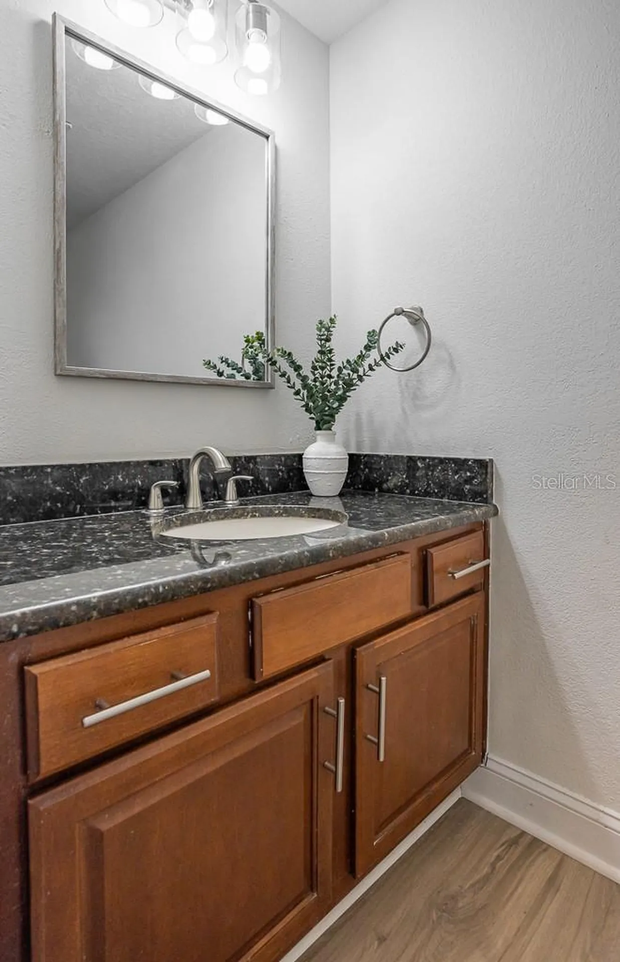 1623 Shady Leaf Drive Valrico FL 33596