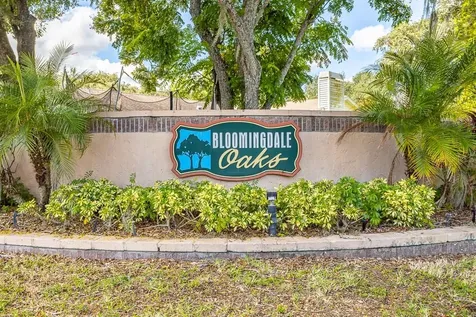 1623 Shady Leaf Drive Valrico FL 33596
