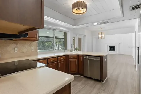 1623 Shady Leaf Drive Valrico FL 33596