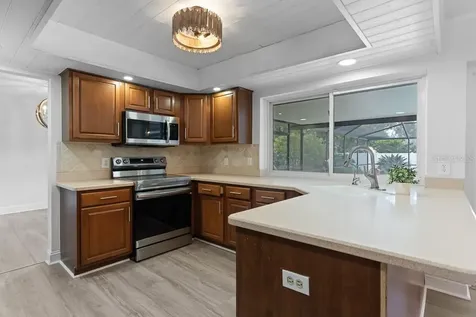 1623 Shady Leaf Drive Valrico FL 33596