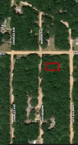Lot 2 Marion Avenue Interlachen FL 32148