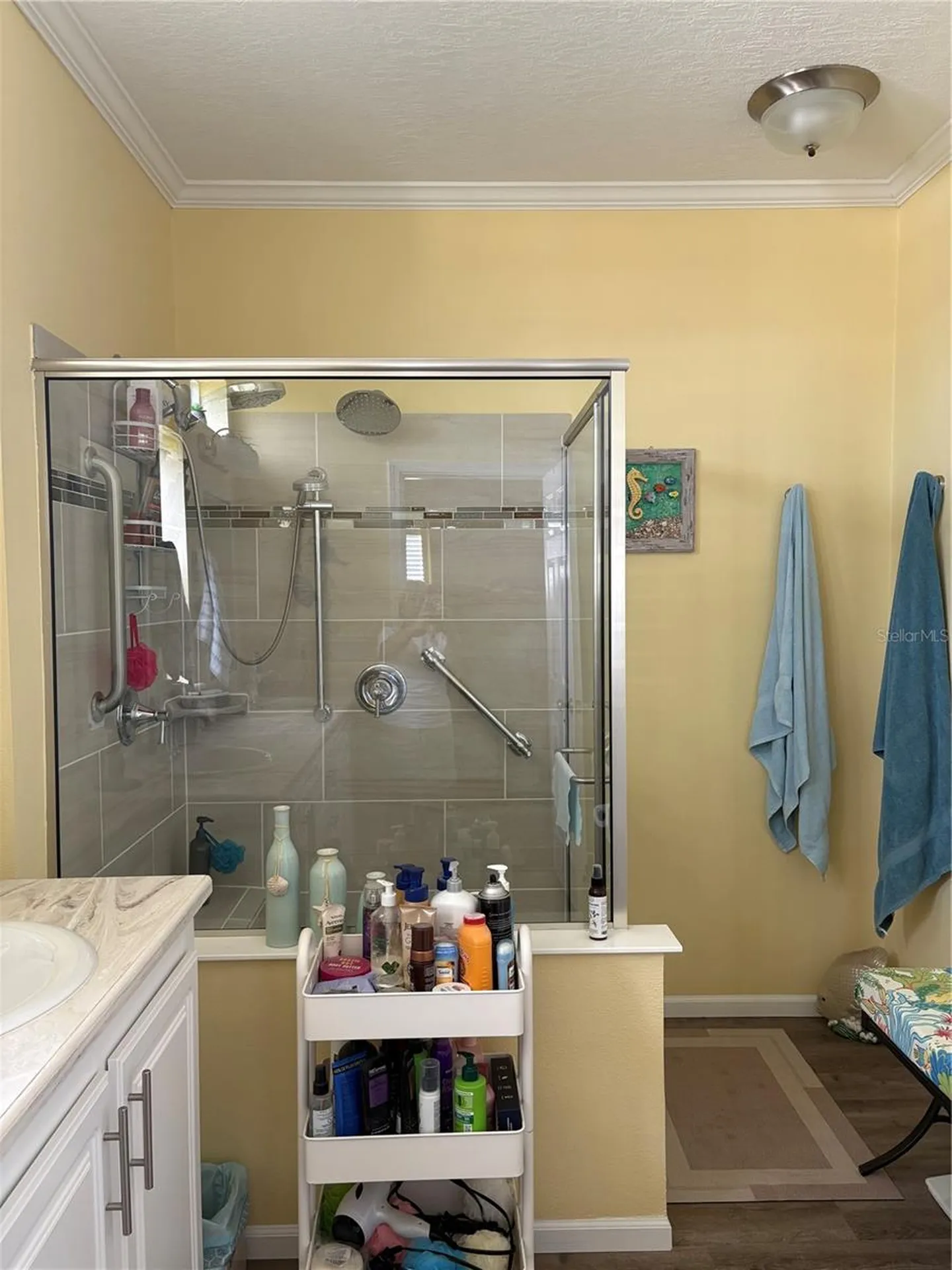 11147 102nd Way Largo FL 33773