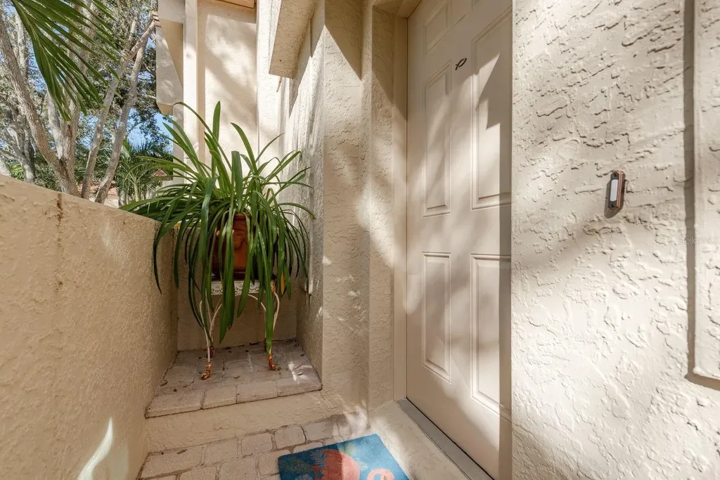 334 Los Prados Drive Safety Harbor FL 34695