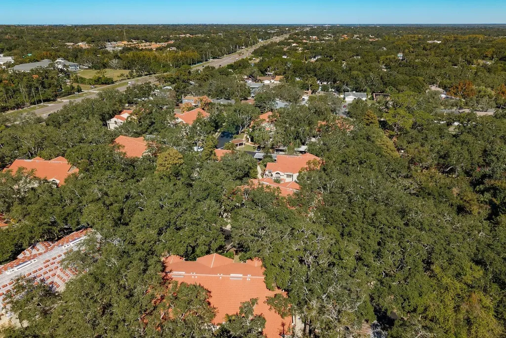 334 Los Prados Drive Safety Harbor FL 34695