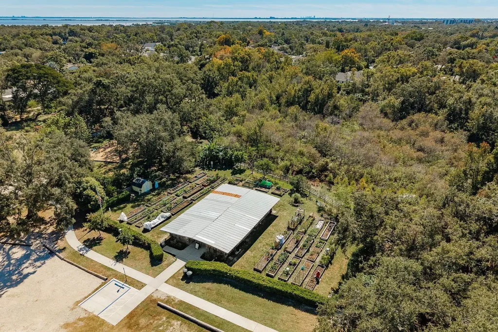 334 Los Prados Drive Safety Harbor FL 34695