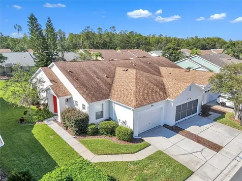 20922 Jaffa Lane Land O Lakes FL 34637