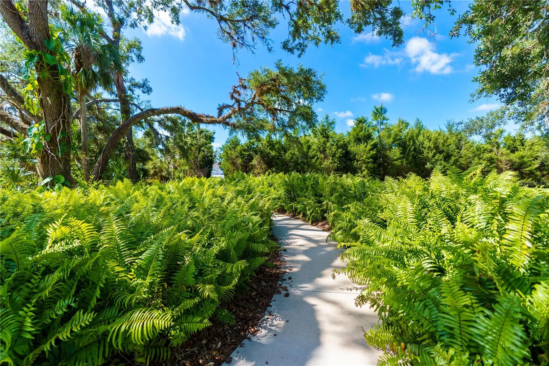 13017 Steinhatchee Loop Venice FL 34293