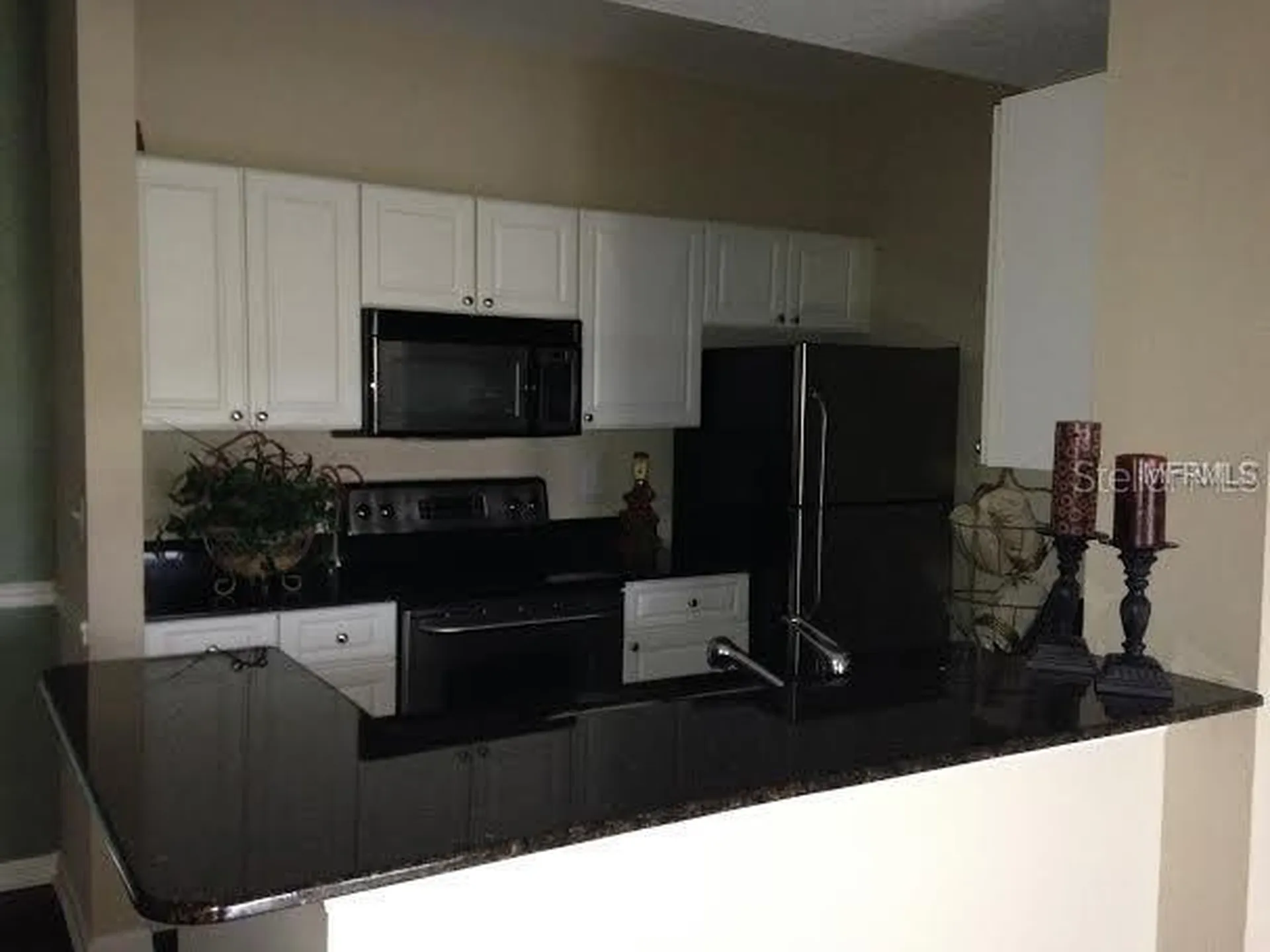 14316 Fredricksburg Drive Orlando FL 32837