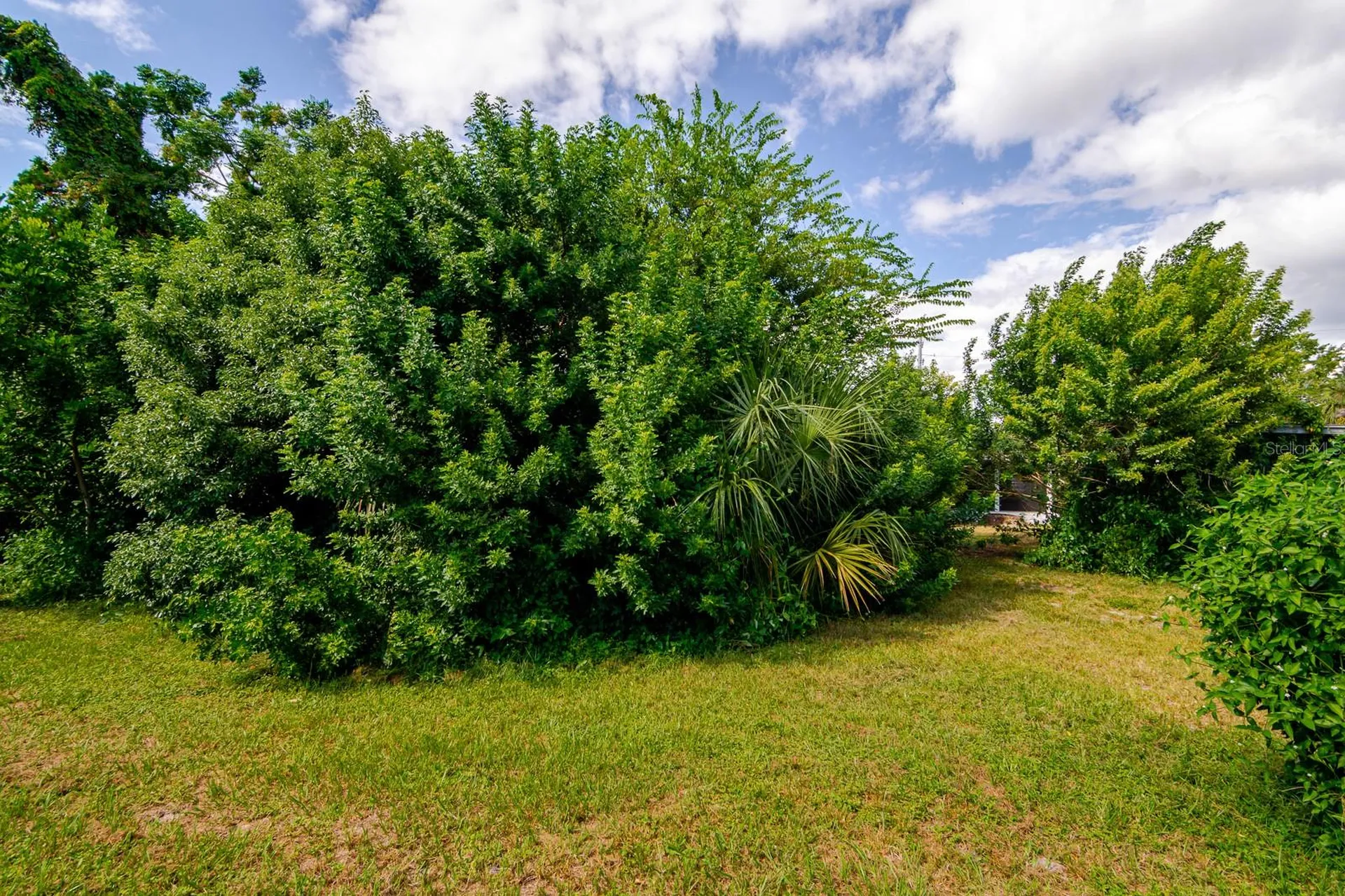 6410 Pensive Drive Port Richey FL 34668