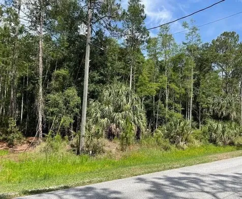 Thunderhead Street Wesley Chapel FL 33544