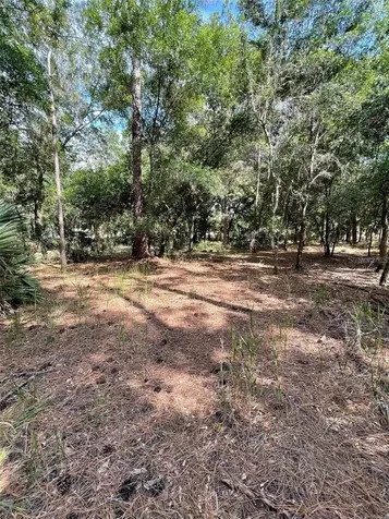 Thunderhead Street Wesley Chapel FL 33544