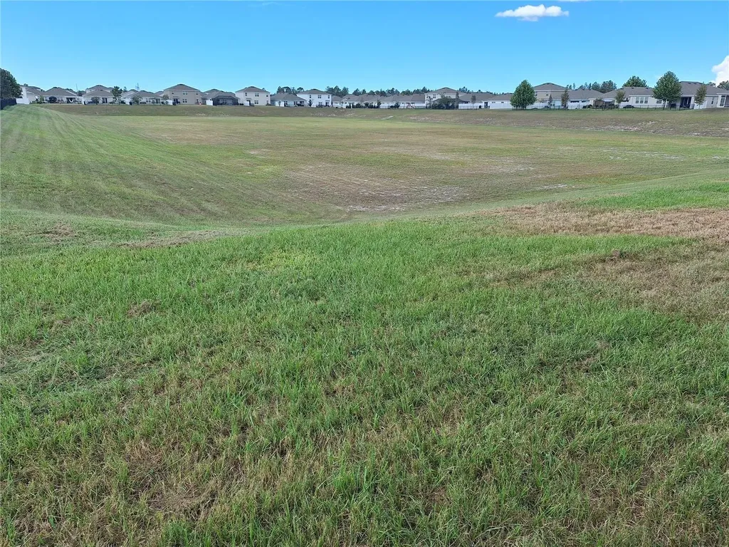 13483 Golden Lime Avenue Spring Hill FL 34609