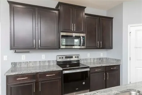 13483 Golden Lime Avenue Spring Hill FL 34609