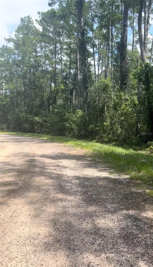 1412 E Carson Road Citrus Springs FL 34434