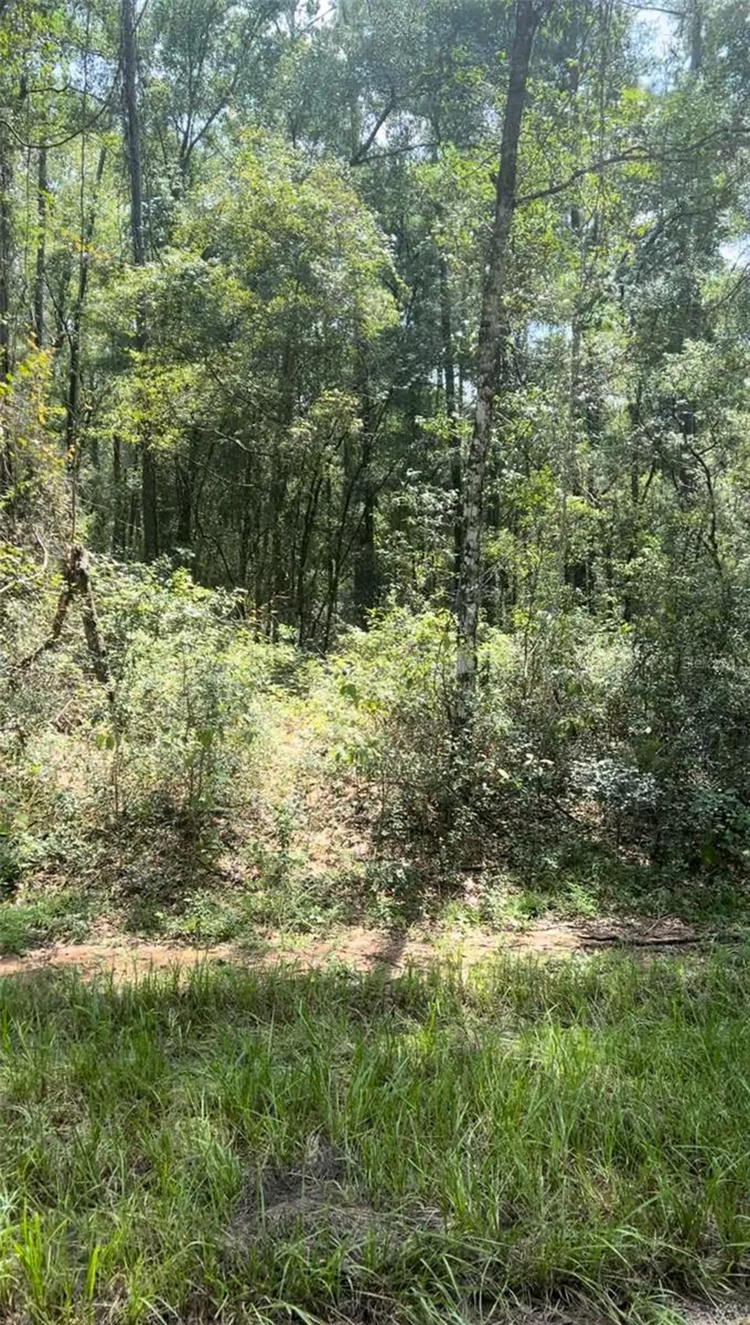1412 E Carson Road Citrus Springs FL 34434